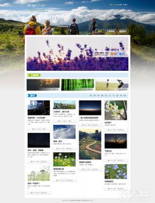 武漢網(wǎng)站建設與數(shù)字化轉(zhuǎn)型 一站式服務解決方案